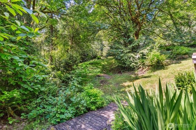8300 NE 316th St, La Center, WA 98629 - photo 35