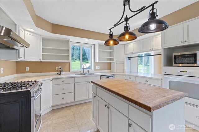 42480 N State Route 25, Davenport, WA 99122 - kitchen featuring open shelves, a sink, stainless steel appliances, ventilation hood, and plenty of natural light