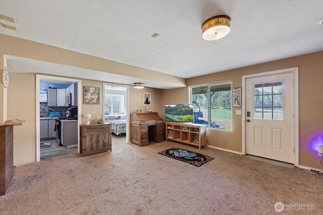 42480 N State Route 25, Davenport, WA 99122 - carpeted foyer entrance with baseboards