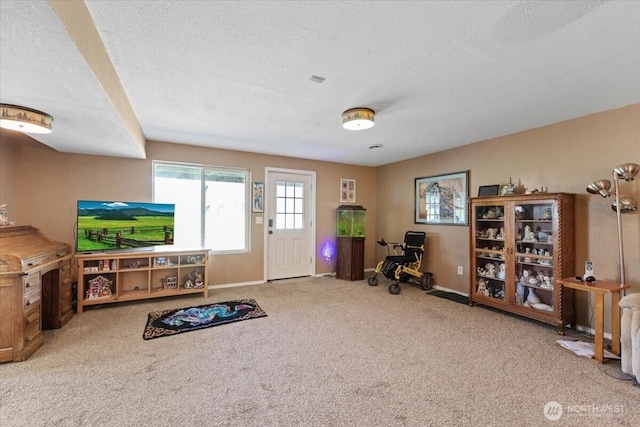 42480 N State Route 25, Davenport, WA 99122 - exercise area with a textured ceiling, carpet flooring, and baseboards