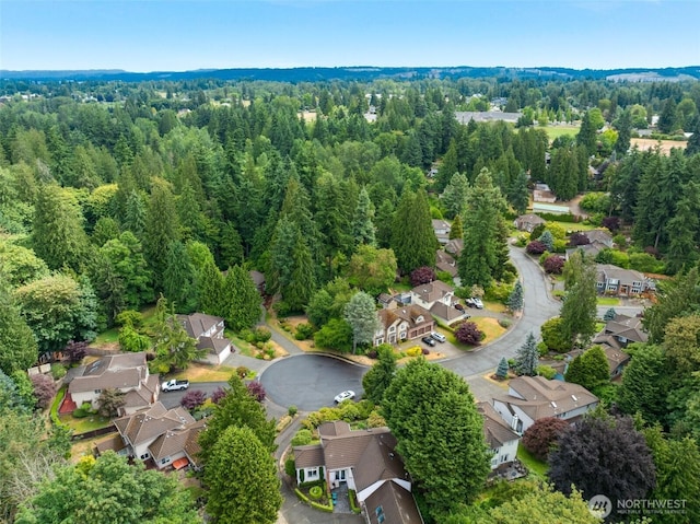 10411 23rd Street Ct E, Edgewood, WA 98372 - aerial view of residential area featuring a forest