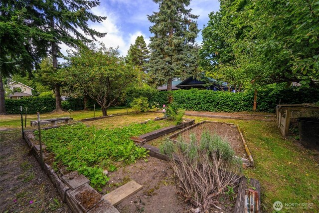 500 Wilson Ave, Bellingham, WA 98225 - view of green lawn featuring a vegetable garden