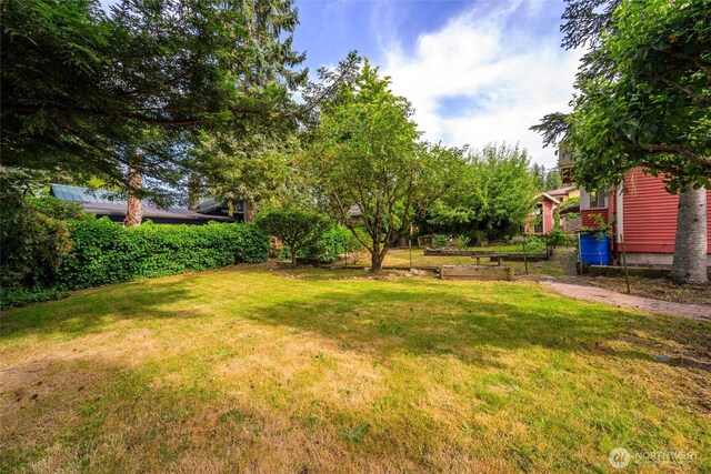 500 Wilson Ave, Bellingham, WA 98225 - view of green lawn with a vegetable garden