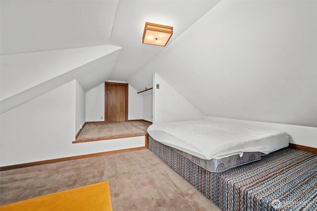 500 Wilson Ave, Bellingham, WA 98225 - bedroom with carpet floors and vaulted ceiling