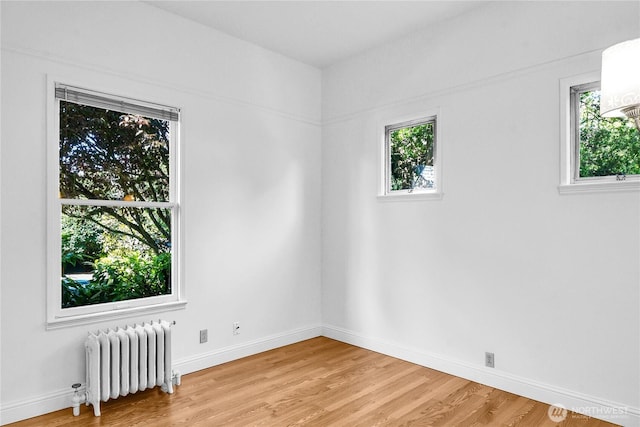 2008 Nob Hill Ave N, Seattle, WA 98119 - spare room with radiator, plenty of natural light, light wood-style flooring, and baseboards