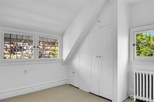 2008 Nob Hill Ave N, Seattle, WA 98119 - additional living space with radiator heating unit and light carpet