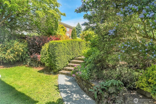 2008 Nob Hill Ave N, Seattle, WA 98119 - view of green lawn