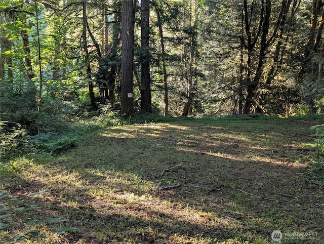 3779 NE Wagon Wheel Ln, Poulsbo, WA 98370 - photo 38
