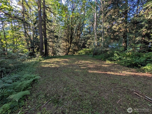3779 NE Wagon Wheel Ln, Poulsbo, WA 98370 - photo 39
