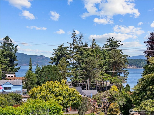 3309 W 2nd St, Anacortes, WA 98221 - mountain view with a nearby body of water