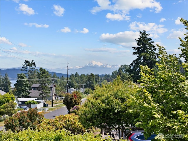 3309 W 2nd St, Anacortes, WA 98221 - mountain view