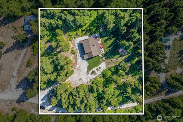 158 Big Pine Dr, Leavenworth, WA 98826 - aerial overview of property's location featuring property parcel outlined