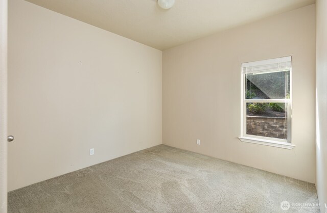 180 E Osprey Ln, Shelton, WA 98584 - photo 23