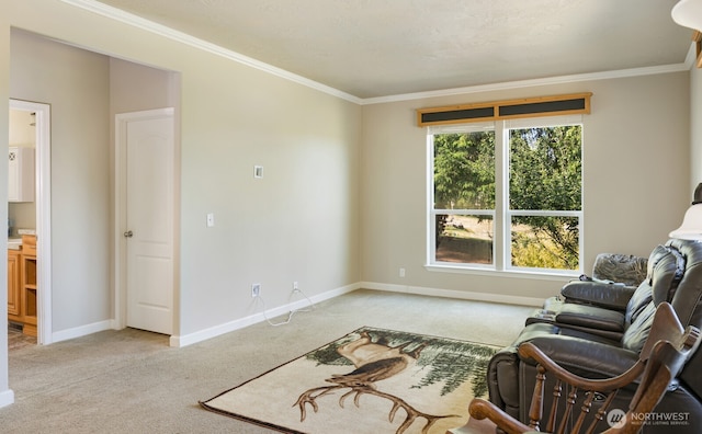 180 E Osprey Ln, Shelton, WA 98584 - photo 17