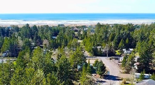 30211 O Pl, Ocean Park, WA 98640 - aerial overview of property's location