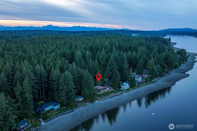 6570 E Grapeview Loop Rd, Allyn, WA 98524 - drone / aerial view of a heavily wooded area and a water and mountain view
