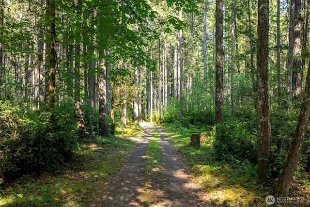 6570 E Grapeview Loop Rd, Allyn, WA 98524 - view of road featuring a wooded view