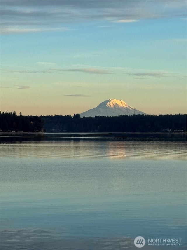 6570 E Grapeview Loop Rd, Allyn, WA 98524 - water view featuring a mountainous background