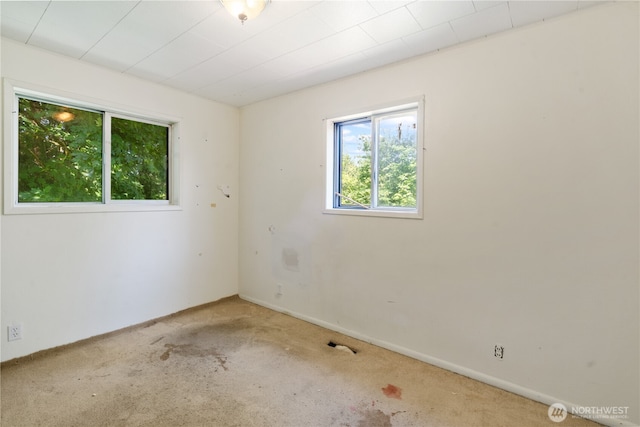 1627 SE Holman Rd, Port Orchard, WA 98367 - empty room featuring carpet floors and baseboards