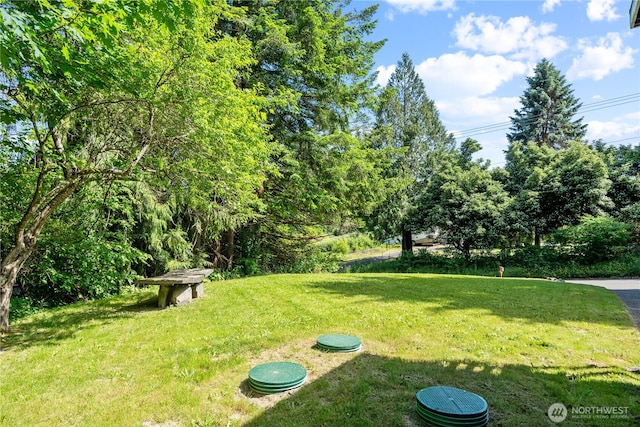 1627 SE Holman Rd, Port Orchard, WA 98367 - view of green lawn