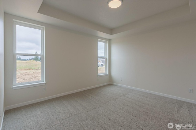 603 Cardinal Ave, Winlock, WA 98596 - spare room with a raised ceiling, baseboards, and carpet flooring
