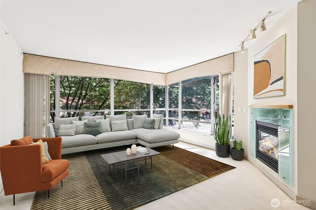 2929 1st Ave Unit 205, Seattle, WA 98121 - carpeted living room with track lighting and healthy amount of natural light