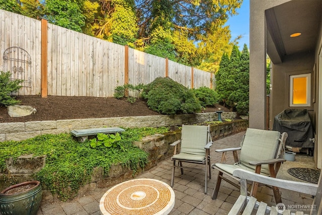 740 1st St S, Kirkland, WA 98033 - fenced backyard featuring a patio area and area for grilling