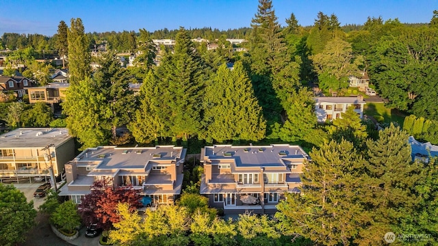 740 1st St S, Kirkland, WA 98033 - bird's eye view of a heavily wooded area