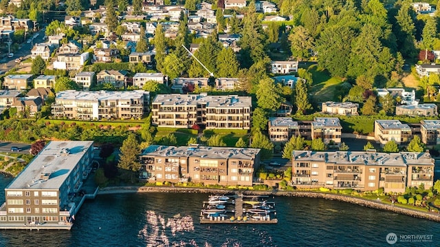 740 1st St S, Kirkland, WA 98033 - aerial view of a large body of water