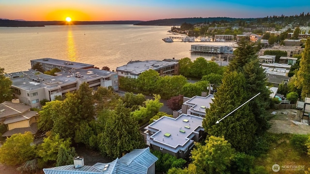 740 1st St S, Kirkland, WA 98033 - drone / aerial view of a nearby body of water