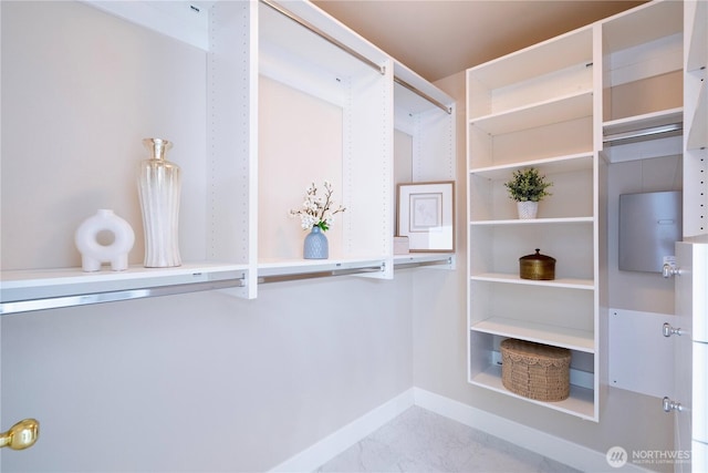 16255 SE 66th St, Bellevue, WA 98006 - photo 19