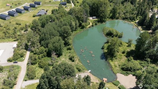 0 Three Lakes Rd, Cle Elum, WA 98922