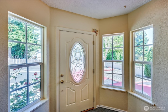 26421 Kingsview Loop NE, Kingston, WA 98346 - entrance foyer featuring a textured wall and plenty of natural light