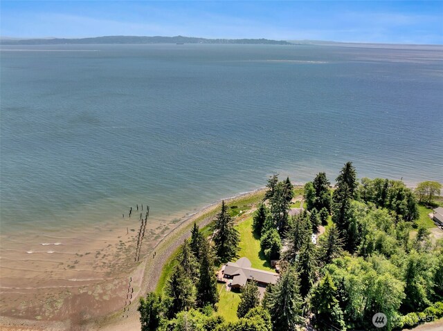 556 State Route 401, Naselle, WA 98638 - photo 7