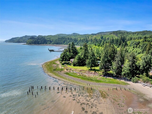 556 State Route 401, Naselle, WA 98638 - photo 8