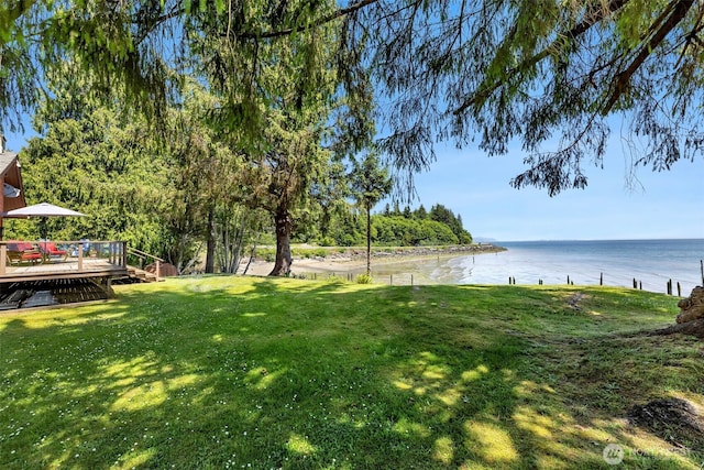556 State Route 401, Naselle, WA 98638 - photo 30