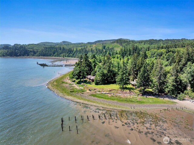 556 State Route 401, Naselle, WA 98638 - photo 32