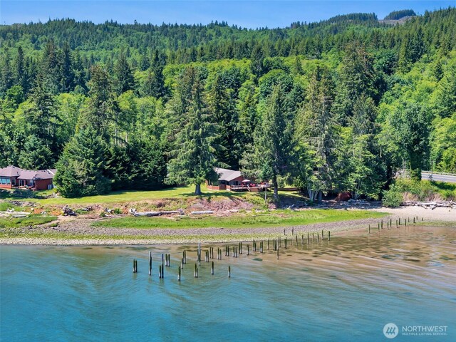556 State Route 401, Naselle, WA 98638 - photo 33