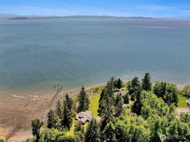 556 State Route 401, Naselle, WA 98638 - photo 34