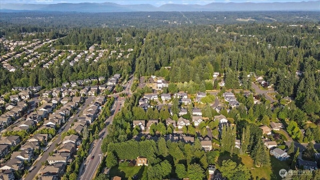 11526 160th Ct NE, Redmond, WA 98052 - photo 38