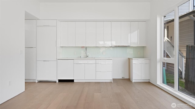 1114 26th Ave Unit B, Seattle, WA 98122 - kitchen with a sink, modern cabinets, light wood-style flooring, and light countertops