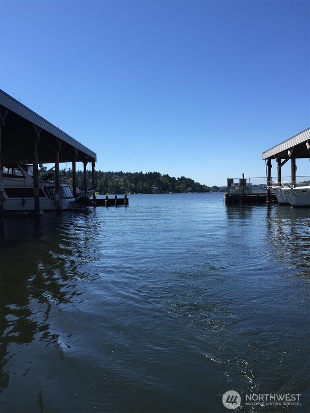6155 NE 175th St Unit 110, Kenmore, WA 98028 - dock area featuring a water view