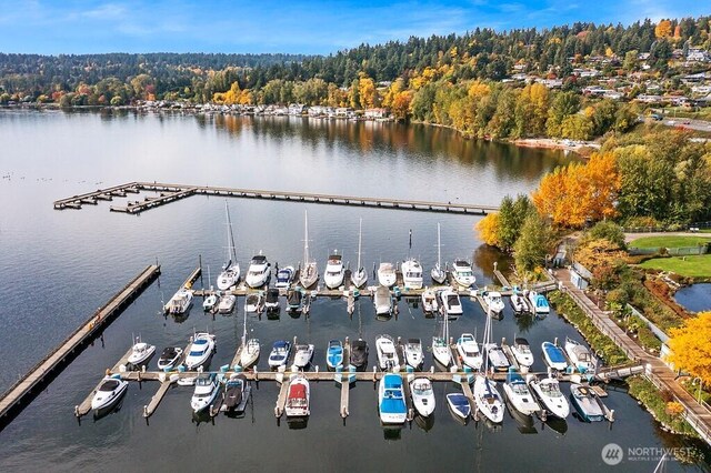 6155 NE 175th St Unit 110, Kenmore, WA 98028 - aerial view of property's location featuring numerous boat docks and a large body of water