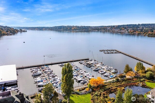 6155 NE 175th St Unit 110, Kenmore, WA 98028 - drone / aerial view of a marina and a large body of water