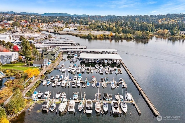6155 NE 175th St Unit 110, Kenmore, WA 98028 - aerial view of a marina and a water and mountain view