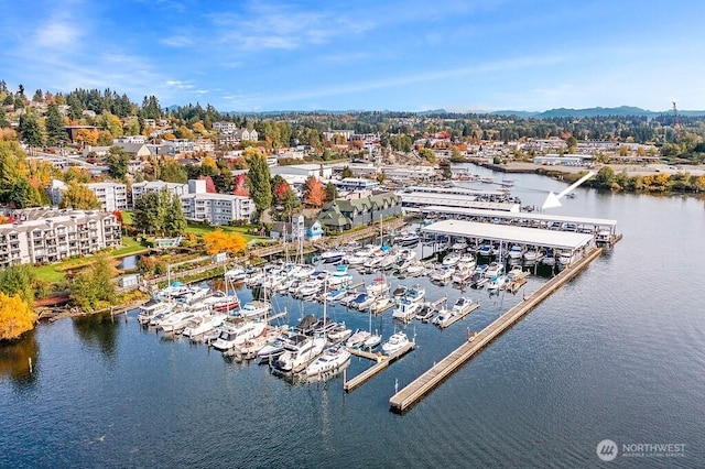 6155 NE 175th St Unit 110, Kenmore, WA 98028 - bird's eye view of a marina and a nearby body of water