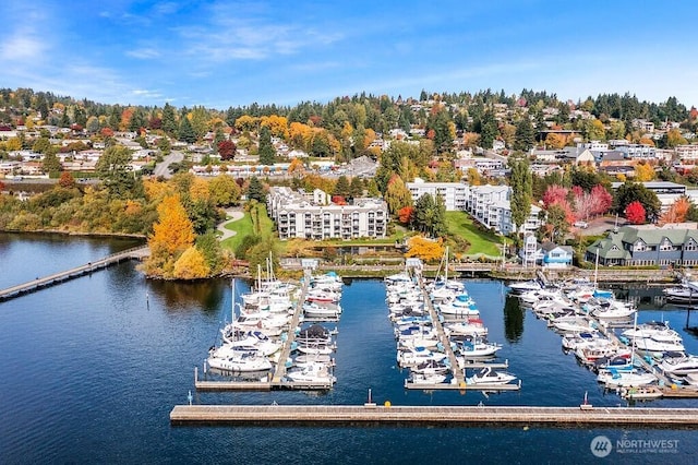 6155 NE 175th St Unit 110, Kenmore, WA 98028 - drone / aerial view of a marina and a nearby body of water