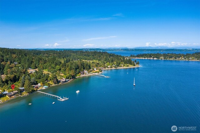 9707 SW Quartermaster Dr, Vashon, WA 98070 - aerial view of a forest and a nearby body of water