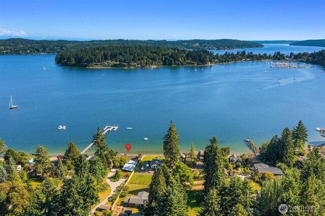 9707 SW Quartermaster Dr, Vashon, WA 98070 - bird's eye view of a heavily wooded area and a nearby body of water