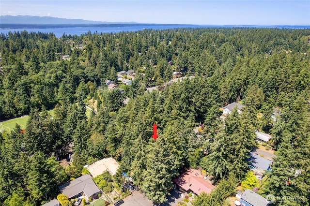 604 N 178th St, Shoreline, WA 98133 - aerial overview of property's location with a heavily wooded area and a nearby body of water